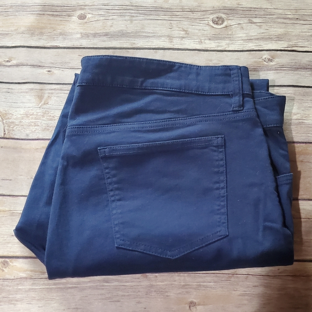 Eileen Fisher Blue Pants sz 14 Organic Cotton